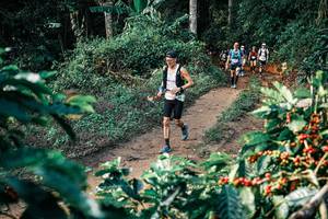 BIB: 
                            <button type="button" onclick="openModal(25838063)" class="btn btn-primary btn-sm float-right btn-popup" data-toggle="modal" data-target=".modal-high-quality">
                        <i class="fas fa-shopping-cart"></i> Add to Cart
                    </button>
                                            <button type="button" onclick="isThisMe(25838063, true)" class="btn btn-success btn-sm float-right btn-popup btn-isme hidden" data-toggle="tooltip" data-placement="bottom" title="นี่คือรูปของคุณใช่ไหม คลิกที่นี่เพื่อเอาเข้าอัลบั้ม">
                        <i class="fas fa-plus"></i> Add to album
                    </button>
                    <button type="button" onclick="isThisMe(25838063, false)" class="btn btn-warning btn-sm float-right btn-popup btn-isnotme hidden">
                        <i class="fas fa-ban"></i> Remove from album
                    </button>